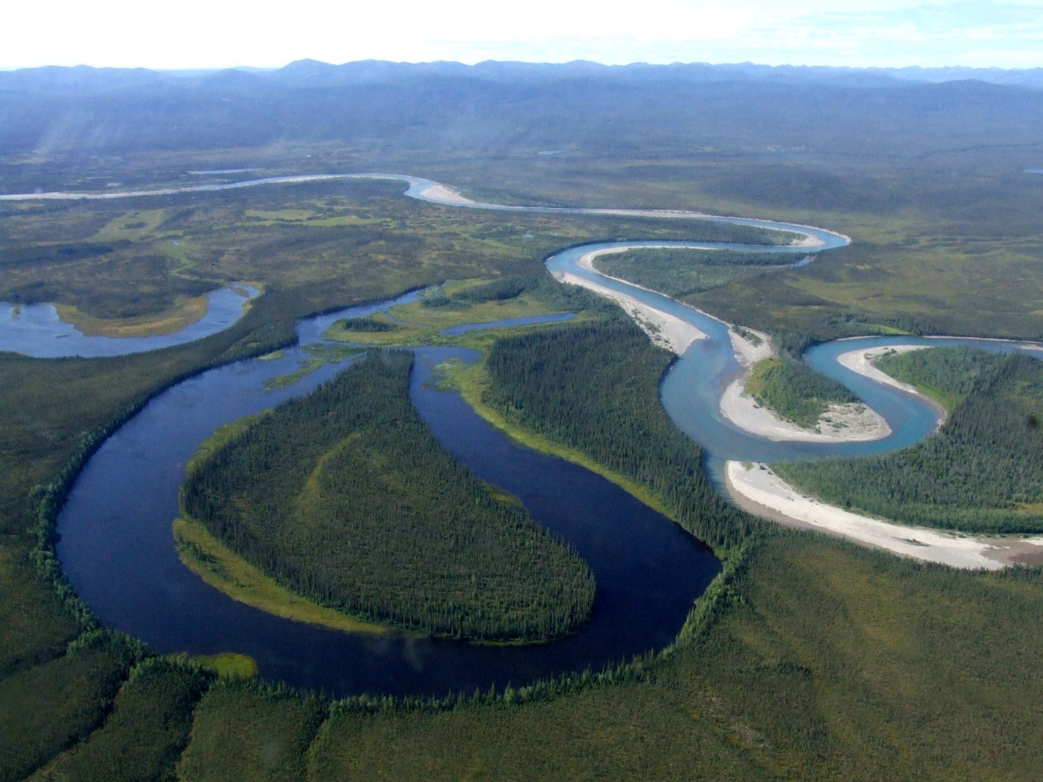 An aerial view of the John River in north central Alaska in the late summer, showing the meandering river, neighboring oxbow lakes, areas of forests and plains surrounding them, and mountains at the south end of the Brooks Range on the horizon.